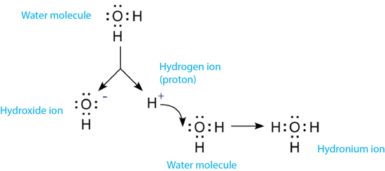 pH of Water | Dissociation and formation of hydronium | YSI