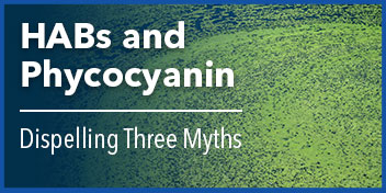 harmful algal blooms phycocyanin