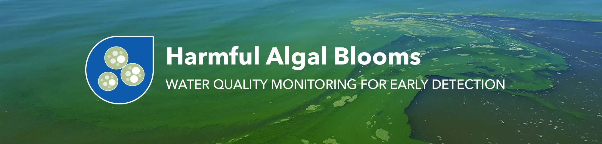 harmful algal blooms habs