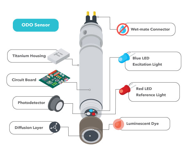 dissolved oxygen optical sensor