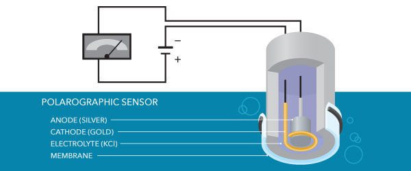 polarographic sensor dissolved oxygen meter